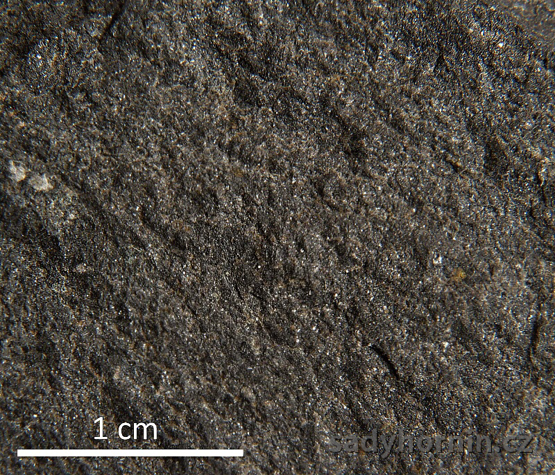 Čedic – Libochovany - makro