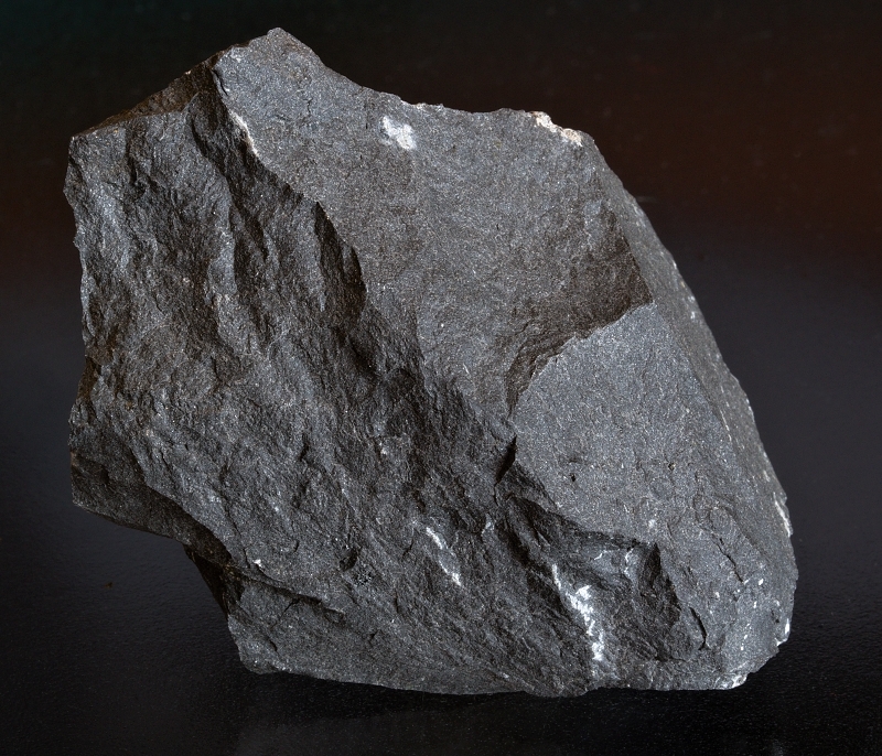 Slepenec Čenkov - sadyhornin.cz