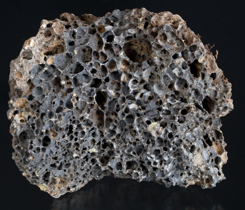 Slepenec Čenkov - sadyhornin.cz