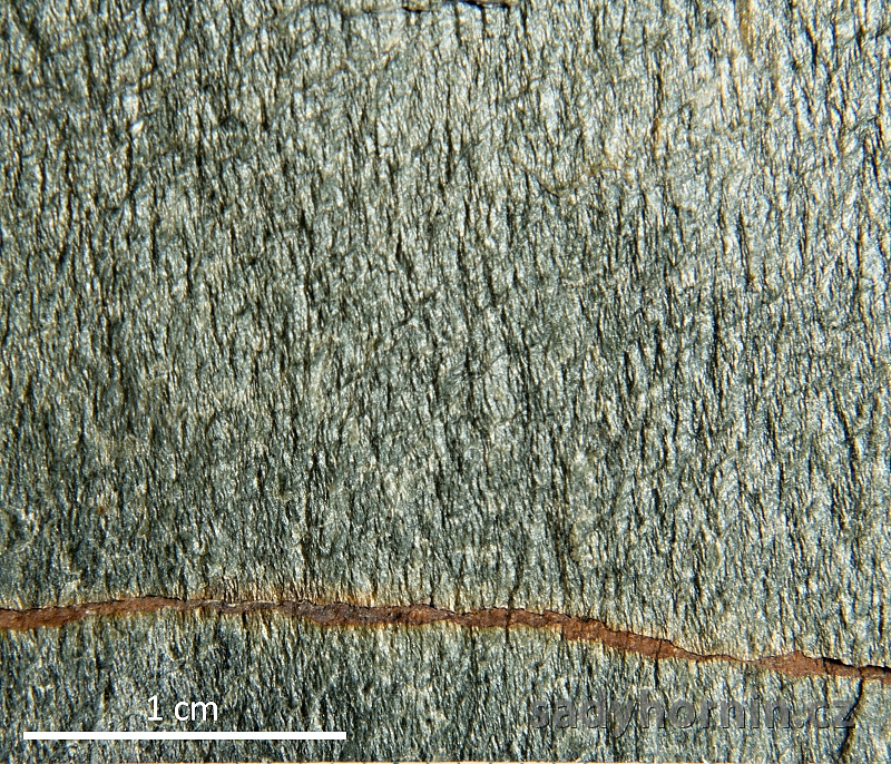 Fylit - Radčice - detail