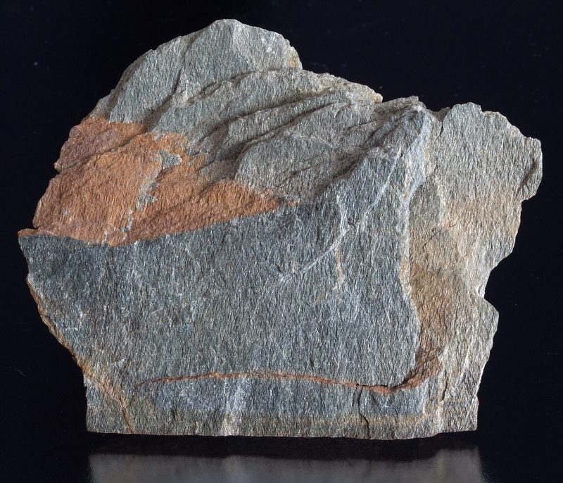 Slepenec Čenkov - sadyhornin.cz