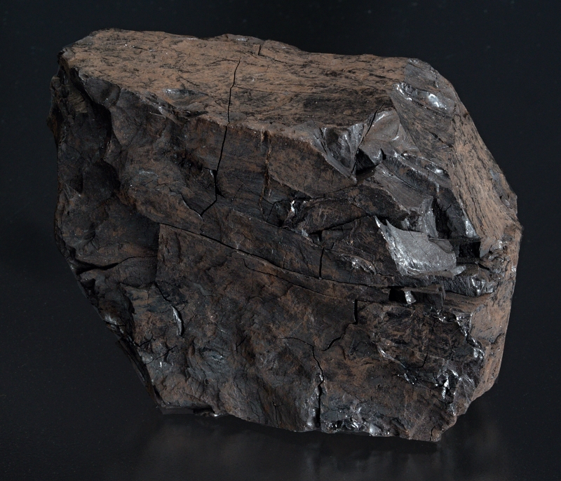 Slepenec Čenkov - sadyhornin.cz