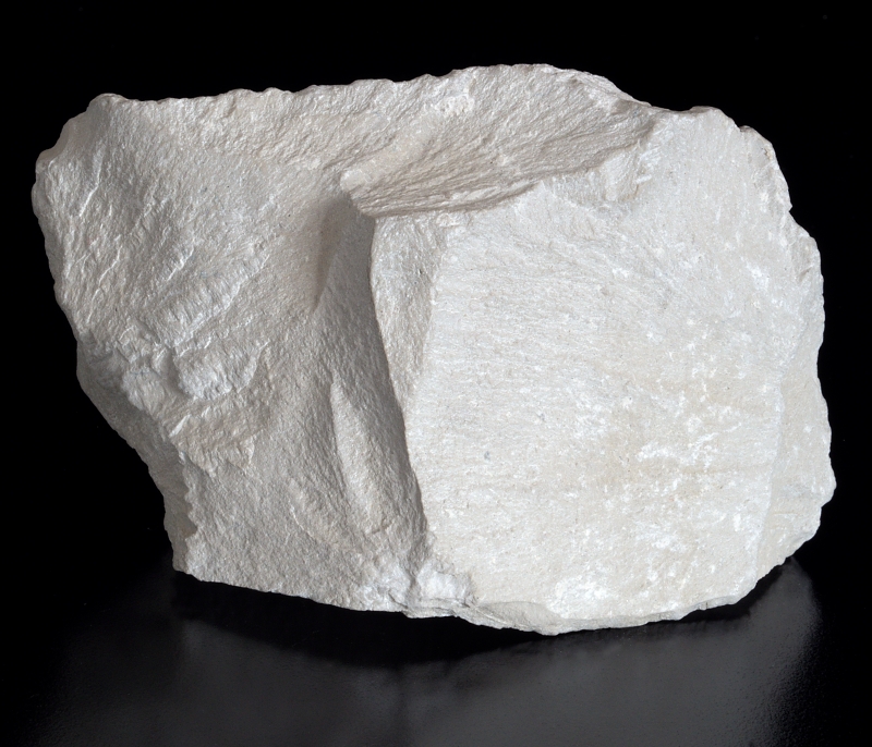 Slepenec Čenkov - sadyhornin.cz