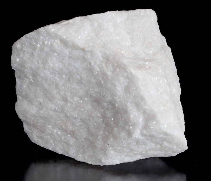 Slepenec Čenkov - sadyhornin.cz