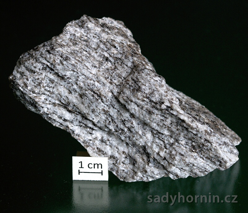 Ortorula - Vlastejovice