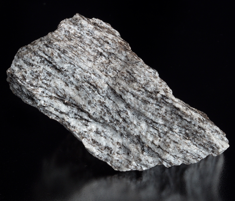 Slepenec Čenkov - sadyhornin.cz