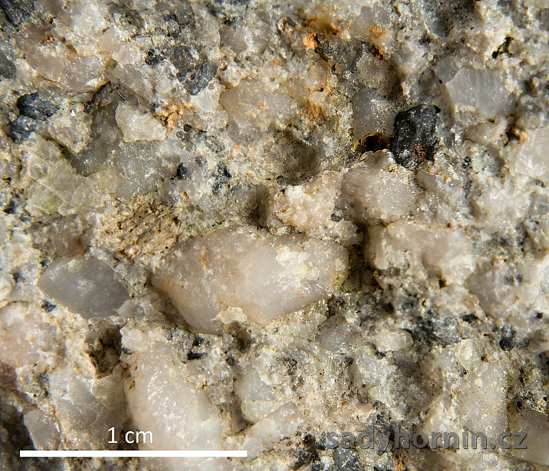 Slepenec - Čenkov - detail