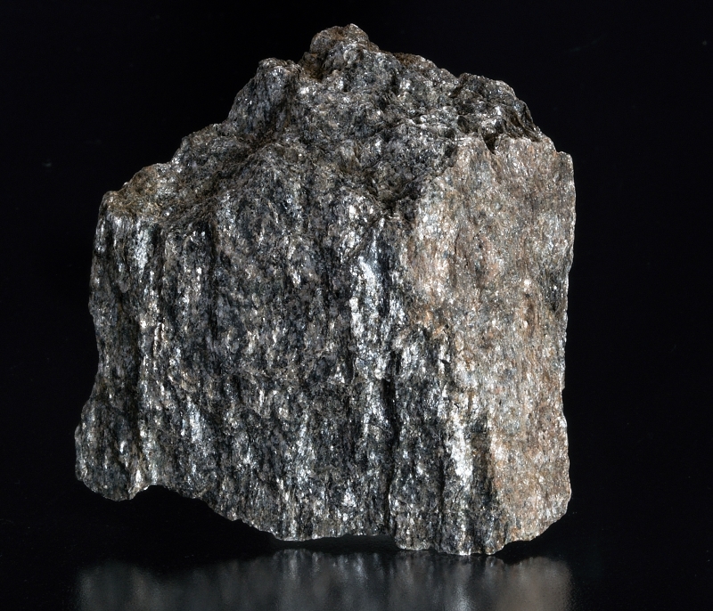 Slepenec Čenkov - sadyhornin.cz