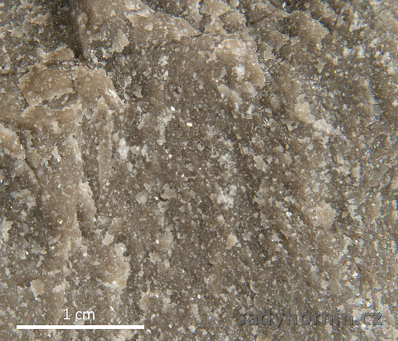 Vapenec - Suchomasty - detail