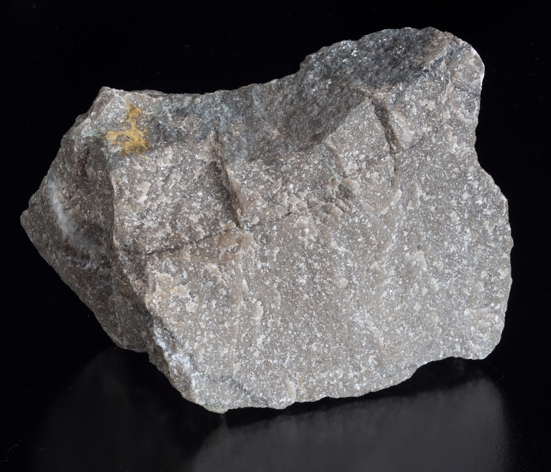 Slepenec Čenkov - sadyhornin.cz