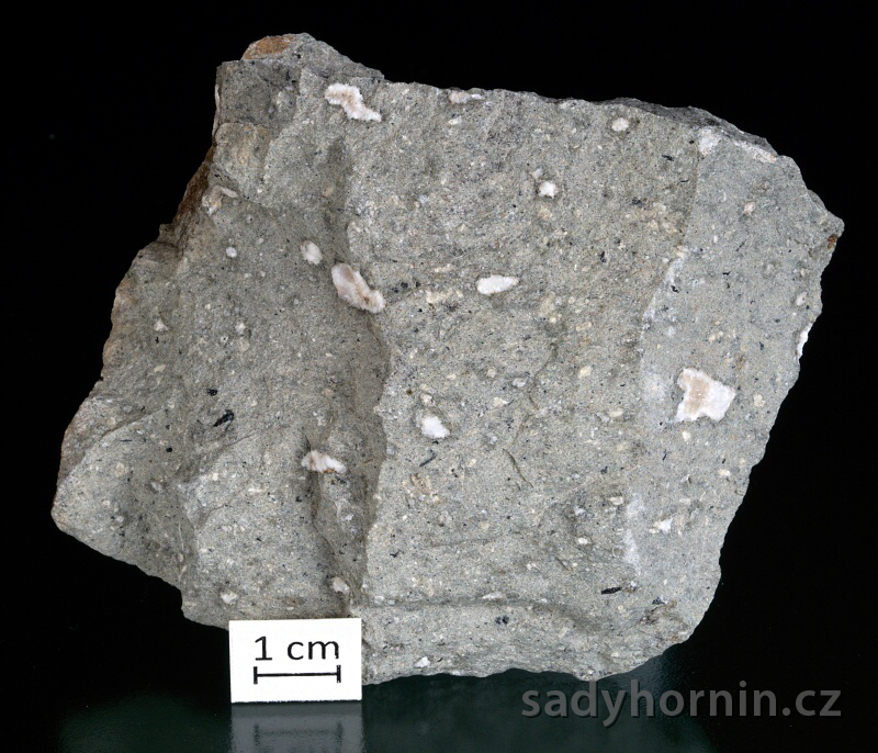 Znělec - Ústi n. L.