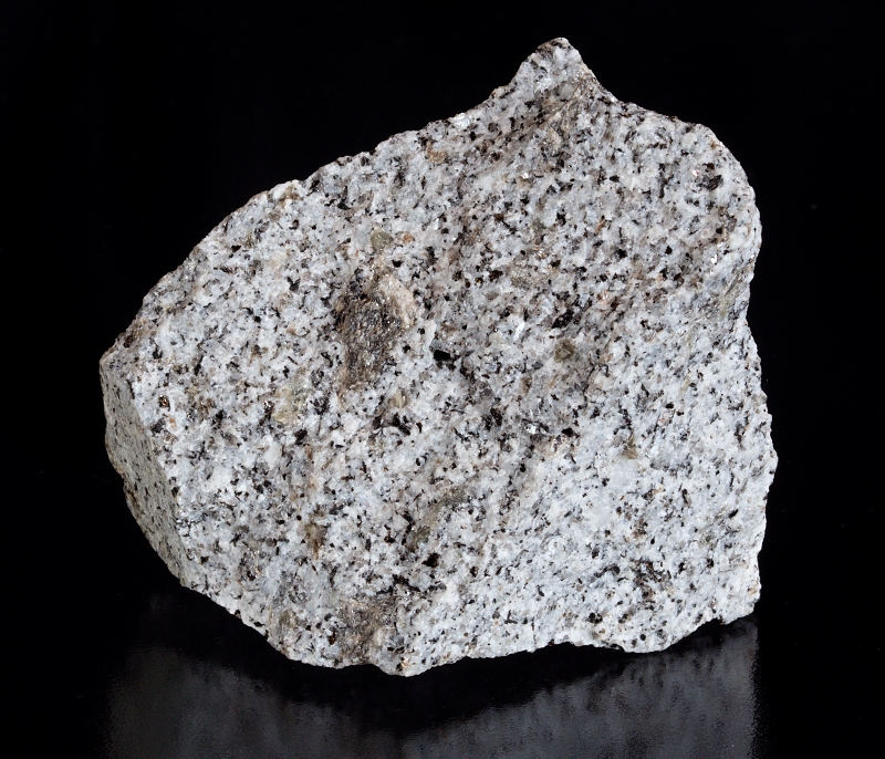 Slepenec Čenkov - sadyhornin.cz